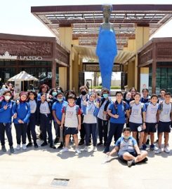 IVY STEM International Schools